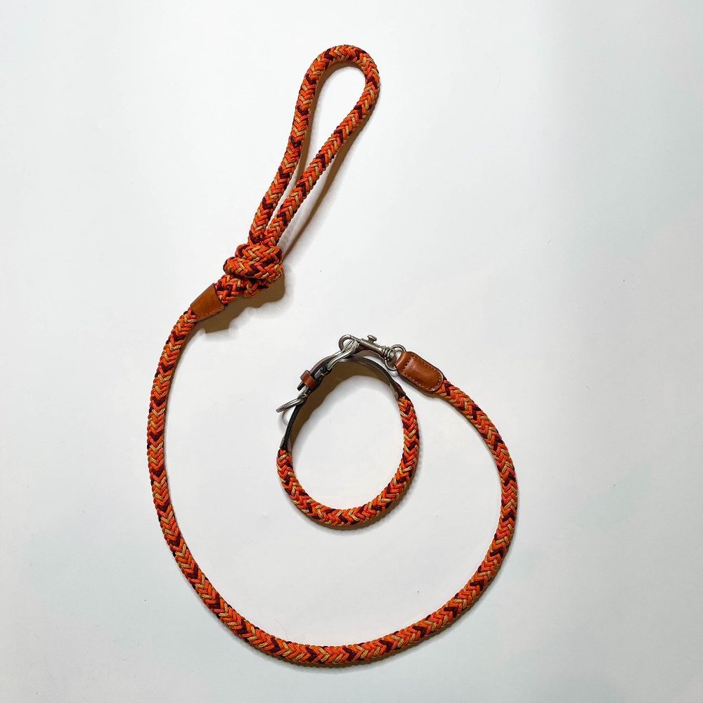 Zara Multi-Coloured Braided Leash and Collar ⭐️Host Pick⭐️